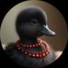no_ducks_inarow